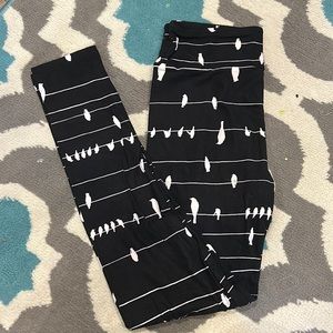 New Birds on a wire OS LuLaRoe leggings